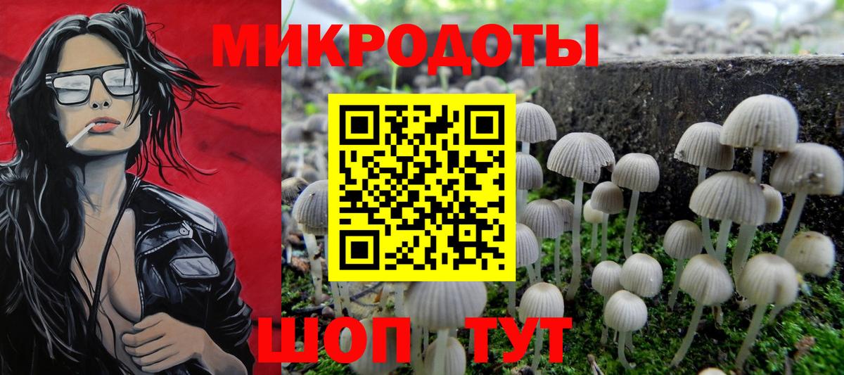 Псилоцибиновые грибы GOLDEN TEACHER  Галлюциногенные грибы Cubensis  Вход с VPN  Нурлат 